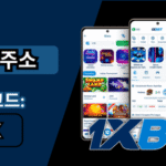 원엑스벳